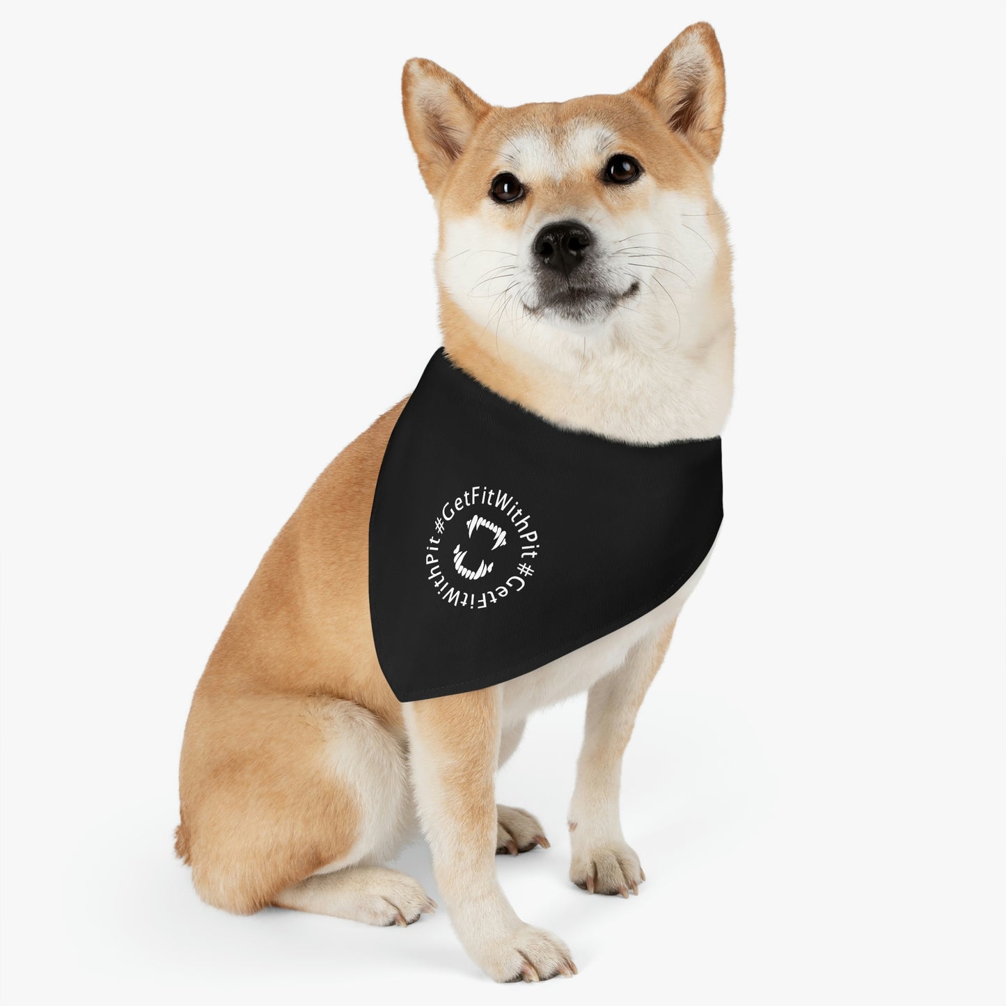 GFWP Pet Bandana Collar