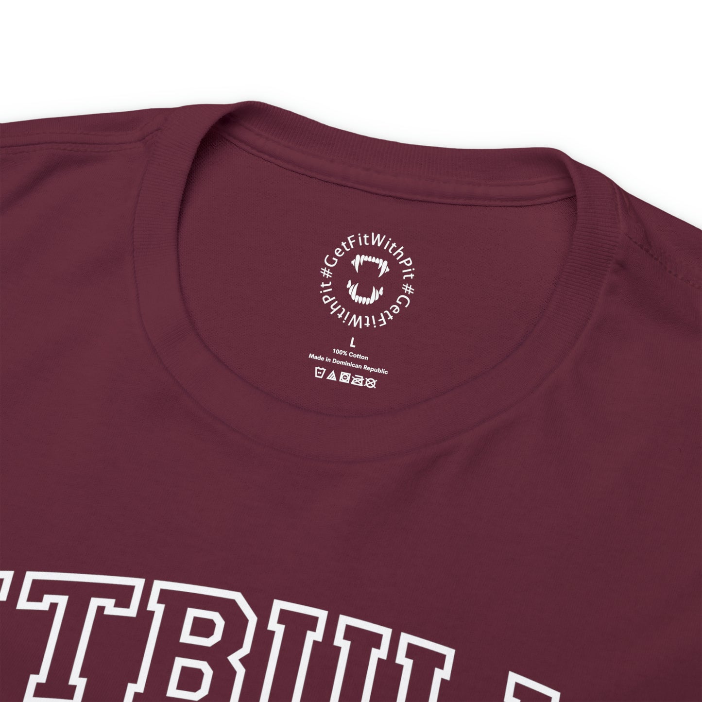 GFWP "Pitbulls Lock In" Premium Tee