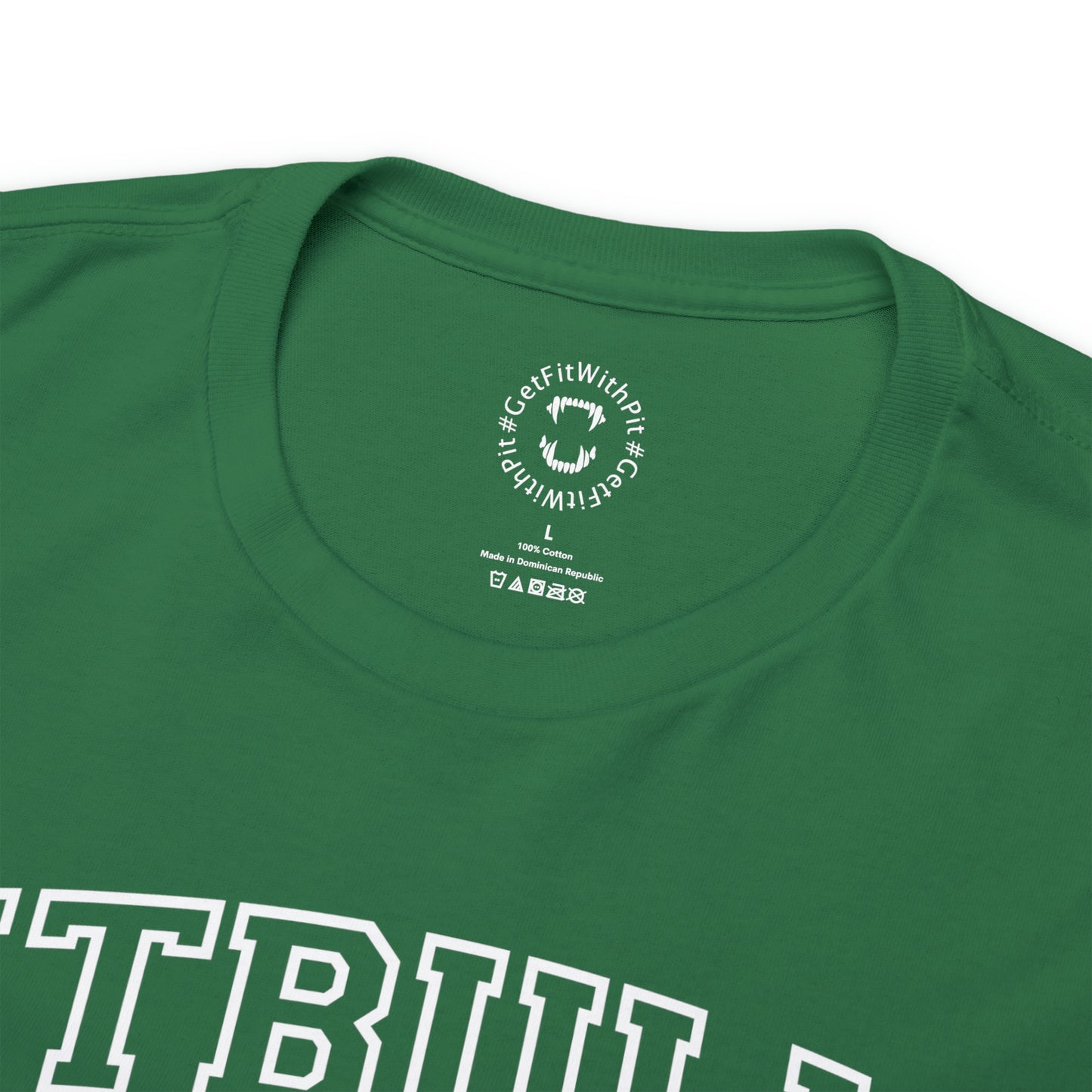 GFWP "Pitbulls Lock In" Premium Tee