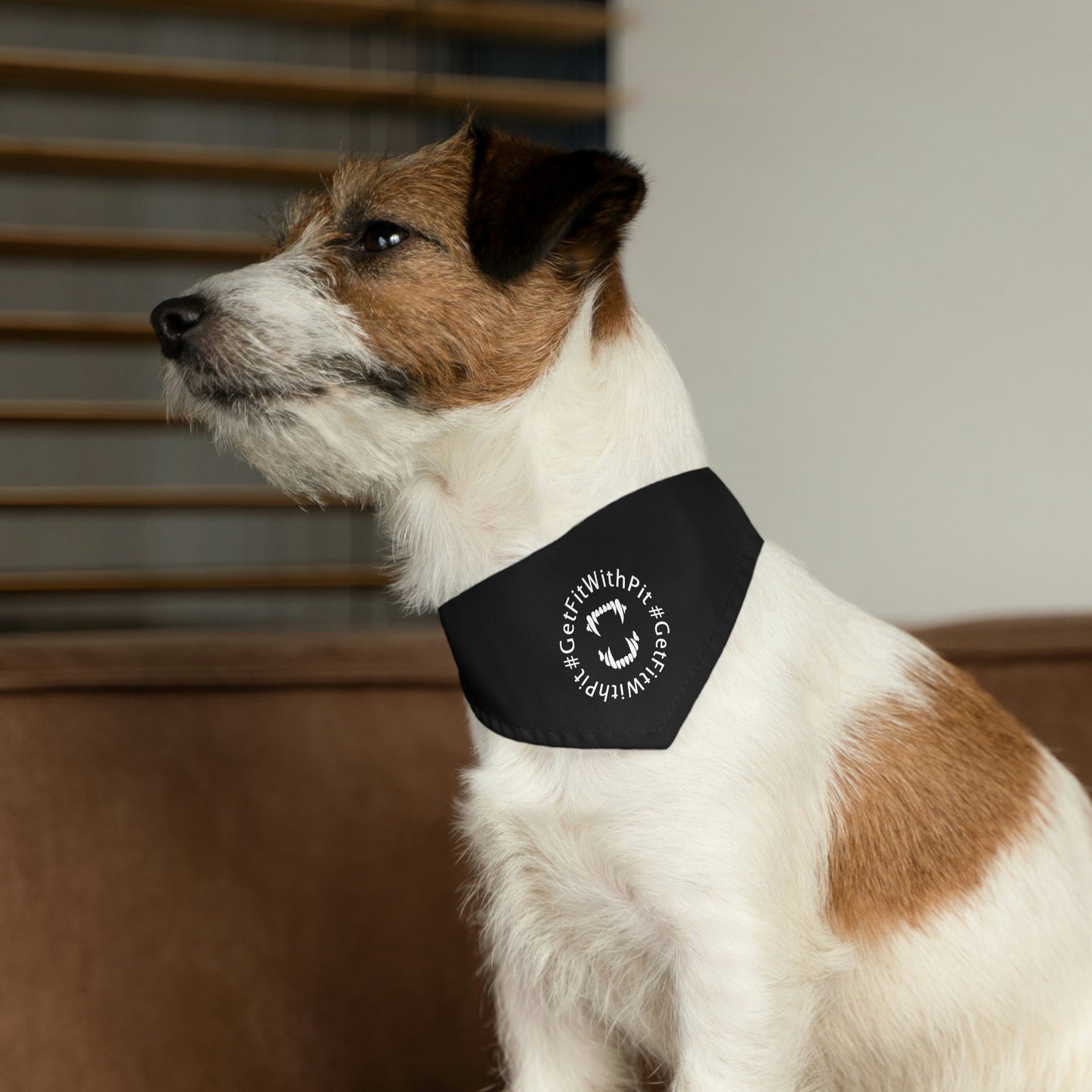 GFWP Pet Bandana Collar