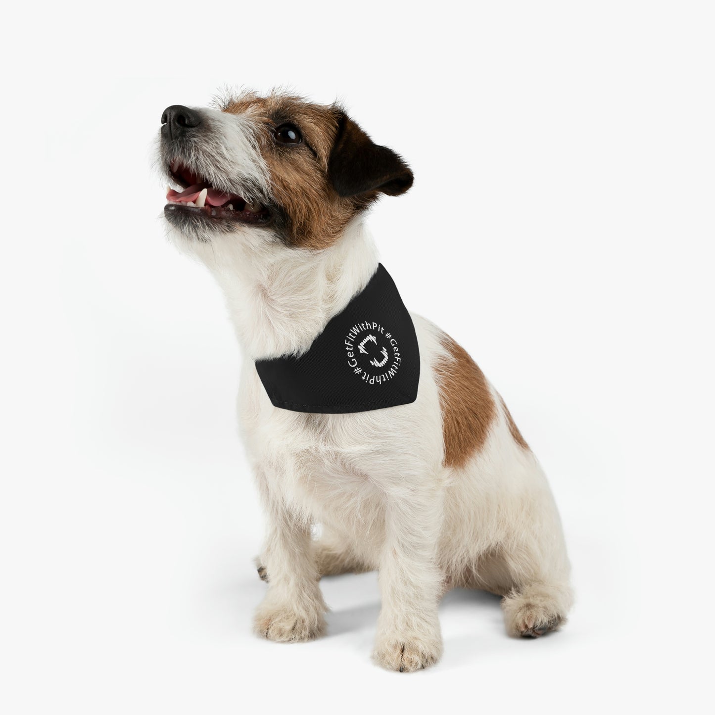 GFWP Pet Bandana Collar