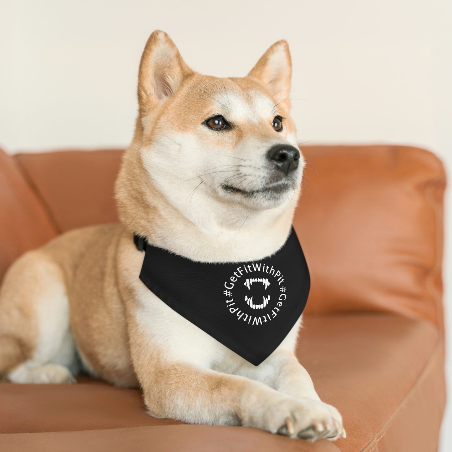 GFWP Pet Bandana Collar